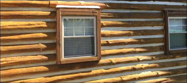 Log Home Whole Log Replacement  Madison County,  North Carolina