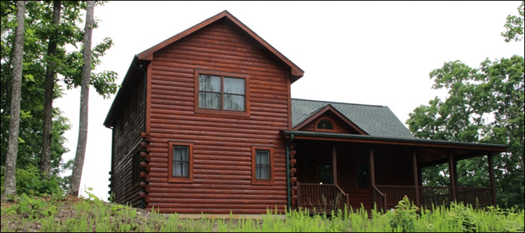 Professional Log Home Borate Application  Mars Hill,  North Carolina